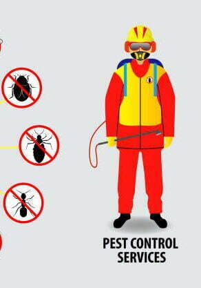 Pest Control Services