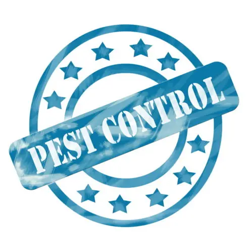 Pest Control Services