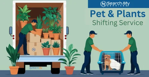 Pets and plants shifting service in Navi Mumbai